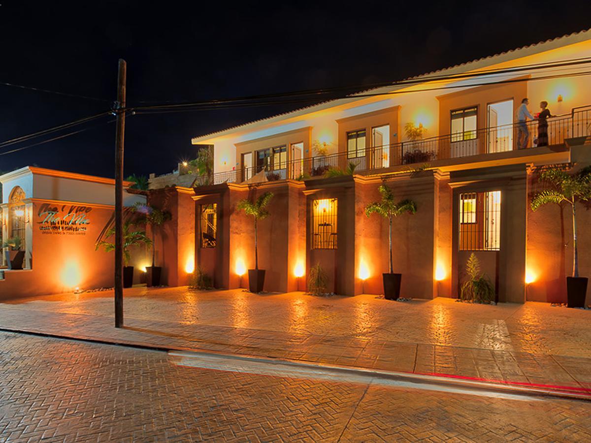 The Vibe Boutique Bed & Breakfast (Adults Only) Todos Santos Extérieur photo